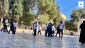 Bahraini delegation joins al-Aqsa Mosque raid by Zionist settlers