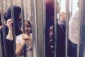 Israel locks up 2 Palestine neighbourhoods with iron gates