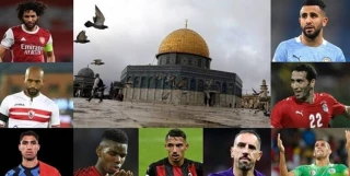 حمایت ورزشی از «فلسطین» زنده است
تیر ورزشکاران آزاده به قلب صهیونیسم