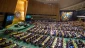 UN General Assembly passes vote affirms Palestinian sovereignty over their natural resources
