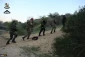 Palestinian resistance groups start military drill in Gaza - Photos