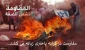 Flames of Resistance in the West Bank