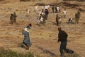 Jewish-American groups urge Israel to end settler 'terrorism'