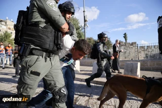 Report: Zionist regime abducted more than 500 Palestinians in January
