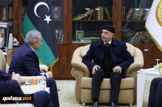 Libyan HoR Speaker reiterates Libya’s unwavering support for Palestinians