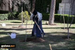 Leader plants tree saplings, marking National Tree Planting Day