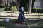 Leader plants tree saplings, marking National Tree Planting Day