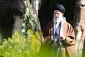 Environmental protection is not just a formal, ceremonial issue