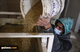 Aid Group warns Palestine wheat reserves could soon run out amid Ukraine crisis
