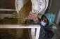 Aid Group warns Palestine wheat reserves could soon run out amid Ukraine crisis