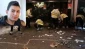 Palestinian martyrdom operations, 
