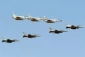 UAE cancels participation in Israeli flyover due to Al-Aqsa unrest