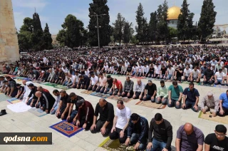 Over 150,000 Palestinians attend Friday prayers al-Aqsa Mosque, defying restrictions