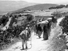 74 عاما على النكبة الفلسطينية/ تقرير مصور 10