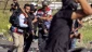 Arab League: Israeli actions threaten to ignite 'religious war' in region