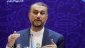 Iran FM: Referendum, return of refugees only solution to issue of Palestine