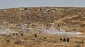Hamas: We stand against Israel’s settlement plans to preserve Islamic identity of al-Quds
