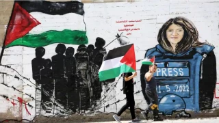 Shireen Abu Akleh killed by Israeli shots, UN rights body says