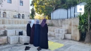 نماز پرشکوه عید قربان در مسجد الاقصی با حضور هزاران فلسطینی 9
