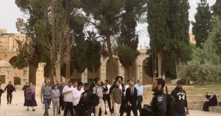 Over 190 settlers defile Aqsa Mosque