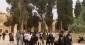 Over 190 settlers defile Aqsa Mosque