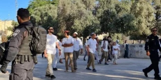 مستوطنون يقتحمون الأقصى ومنظمات “الهيكل” تدعو لإدخال “القرابين” للمسجد