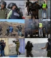 26 Israeli violations against Palestinian journalists and media in September