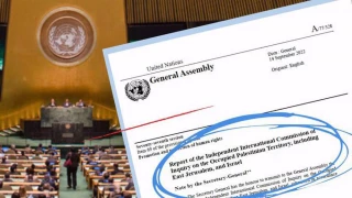 Israeli occupation of Palestinian territory unlawful under intl. law: UN experts