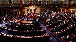 More Palestinians win seats in US midterm elections