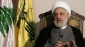 Hezbollah official: Support for Palestine in Qatari World Cup tantamount to rejection of Israel existence