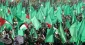 Hamas condemns Israeli punitive measures against Palestinians