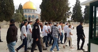 Over 178 settlers defile Aqsa Mosque