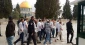 Over 178 settlers defile Aqsa Mosque
