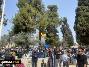 Thousands attend morning prayers in al-Aqsa on second day of Ramadan despite Israeli restrictions