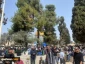 Thousands attend morning prayers in al-Aqsa on second day of Ramadan despite Israeli restrictions