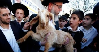 Hamas warns of repercussions of slaughtering sacrifices at Al-Aqsa