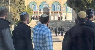 Over 240 settlers defile Aqsa Mosque