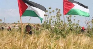 $1.3m losses in Gaza agricultural sector due to the Israeli aggression