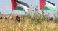 $1.3m losses in Gaza agricultural sector due to the Israeli aggression