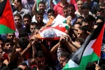 At least 156 Palestinians martyred since the start of 2023 2