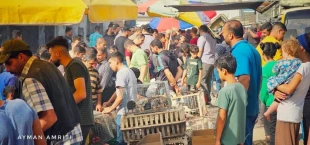 بازار «یرموک» نوار غزه؛
از شیر مرغ تا جان آدمیزاد 4