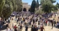 همزمان با روز عید غدیر صورت گرفت:

حضور 50 هزار فلسطینی در نماز جمعه مسجدالاقصی