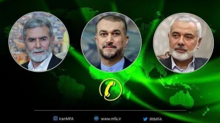 Iran FM reaffirms support for Palestine, urges immediate end to Zionists’ genocide