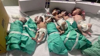 WHO warns of ‘dire situation’ in Gaza hospitals, says more patients ‘tragically’ dying