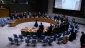 UNSC calls for Gaza 'humanitarian pauses'
