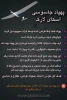 پهپاد بدون سرنشین صهیونیست ها که سرایاالقدس سرنگون کرد، چه ویژگی هایی دارد؟ 2