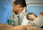 الصحة الفلسطينية: ارتفاع حصيلة الشهداء في قطاع غزة إلى 28858
 2