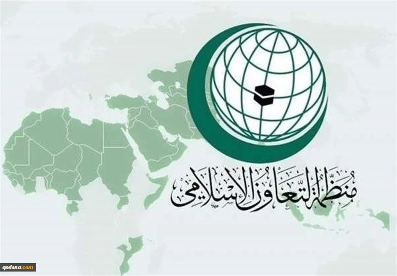 "التعاون الإسلامي" تعرب عن أسفها لإخفاق مجلس الأمن في تبني قرار بشأن غزة
 2
