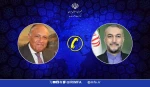 وزيرا خارجية إيران ومصر يبحثان آخر المستجدات على الساحة الفلسطينية 2