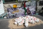 International Quds Day in Iran- in photos 9